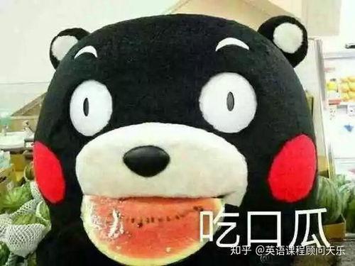 吃瓜群众英文热词的解释和意思