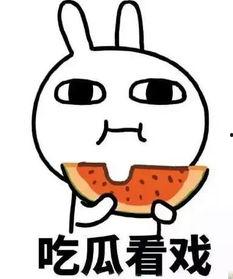 娱乐吃瓜酱相互体谅,相互体谅，共度美好时光